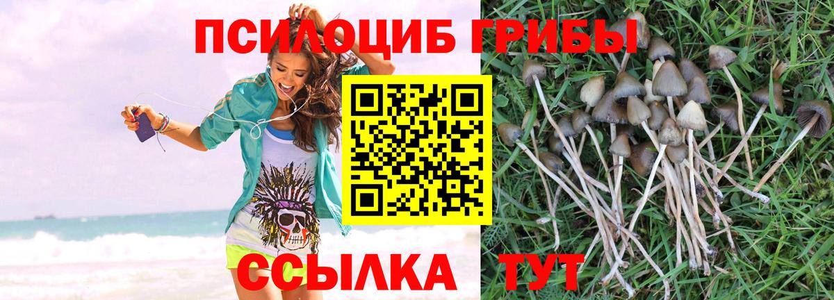 Псилоцибиновые грибы мицелий  купить наркотик  Узловая  Вход с VPN 